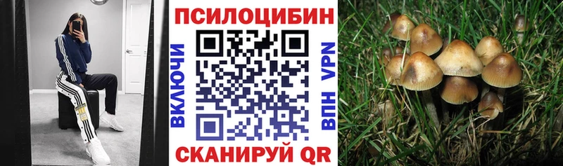 Галлюциногенные грибы прущие грибы  Купить  Сердобск 
